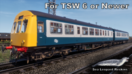 2 Car Class 101 - BR Blue & Grey/TWPTE