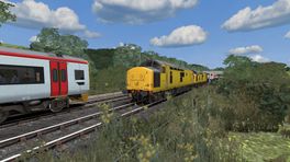 Cambrian line 2022v2