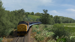West Highland Line South AP Vegetation