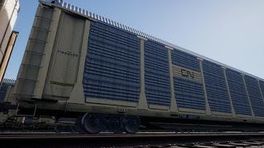 CN Autorack Decal Fix