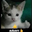 Avatar of JemLotelia