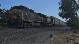 NS NF K5LAR24