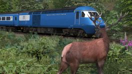 West Highland Pullman (Day 2 of 3)