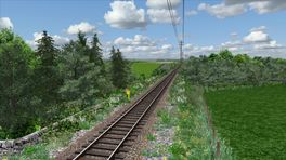 Buchan Lines AP Vegetation EP Patch